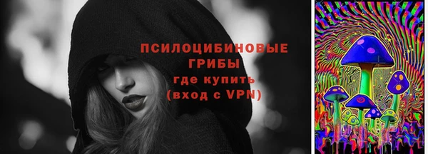 jwh Богородицк