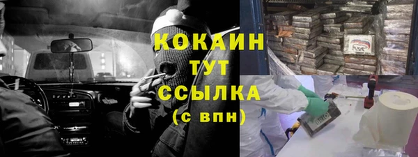 мет Богданович