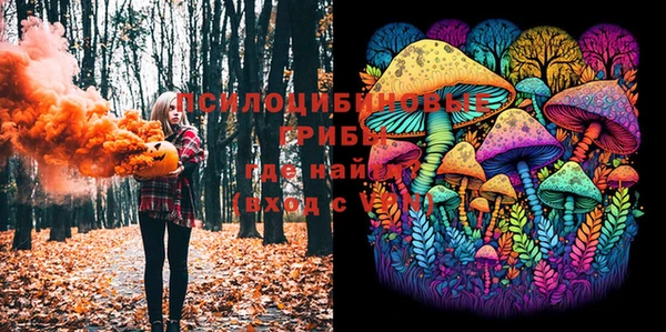 мет Богданович
