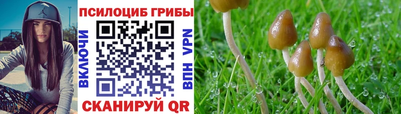 Галлюциногенные грибы мухоморы Вязники