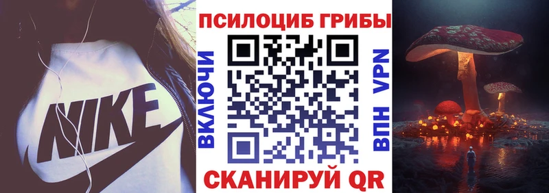 Псилоцибиновые грибы MAGIC MUSHROOMS  купить наркоту  Вязники 